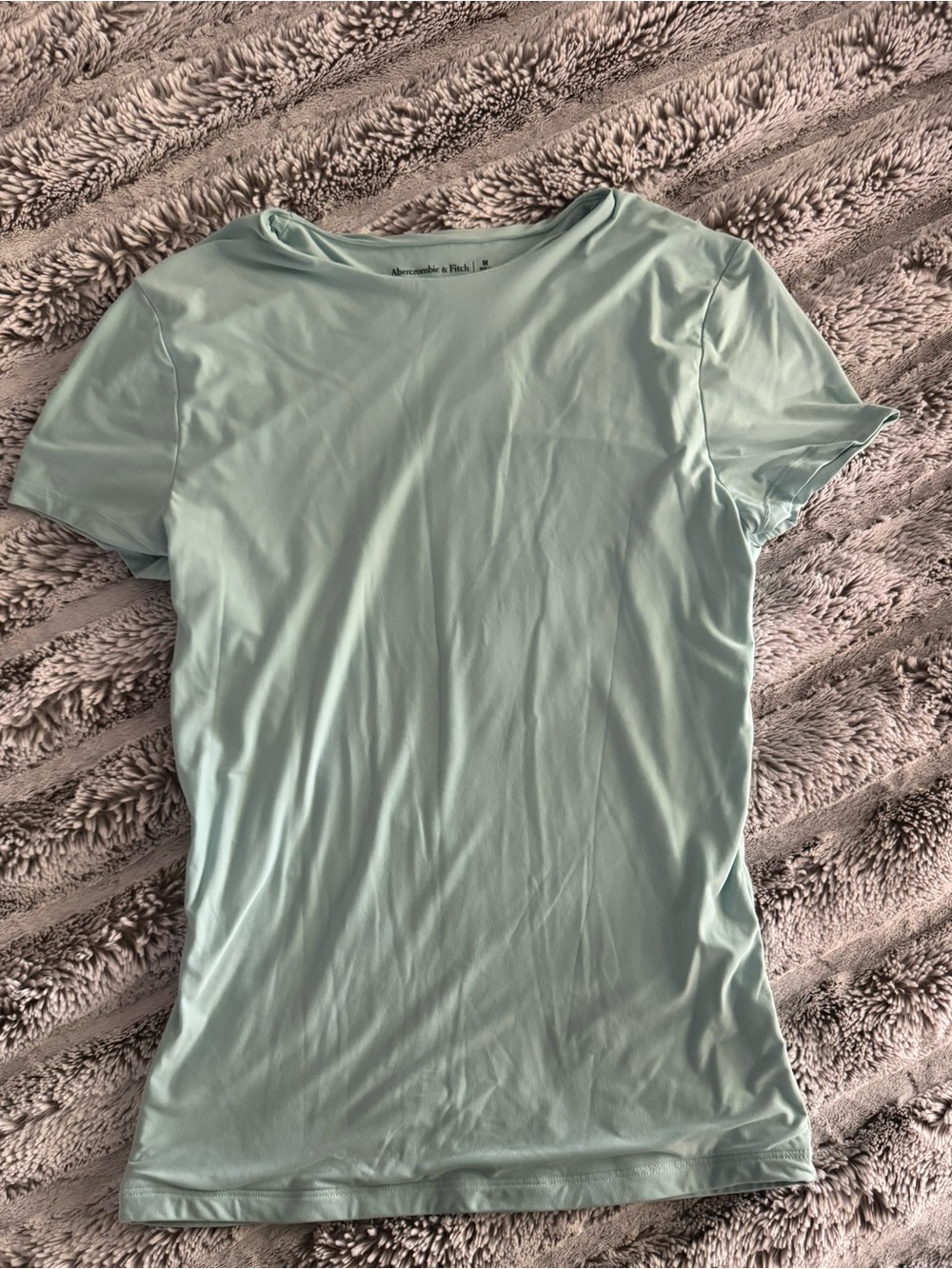 Abercrombie & Fitch Mint/Light Blue Short Sleeve Double Lined Baby Tee M